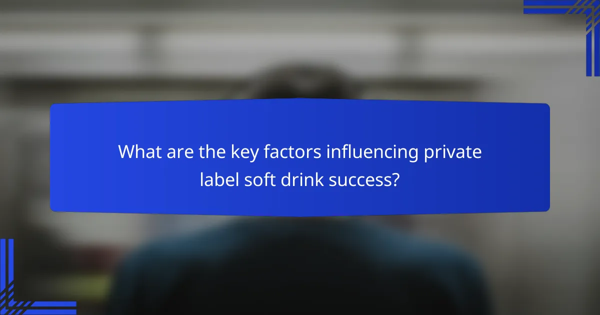 What are the key factors influencing private label soft drink success?