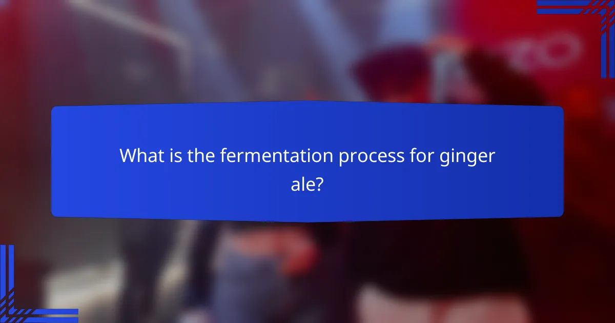What is the fermentation process for ginger ale?
